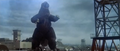 King Kong vs. Godzilla - 9 - Godzilla Full View