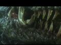 Biollante's teeth and tusks