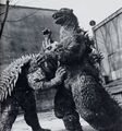 GRA-AnguirusvsGodzilla