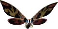 Mothra (PS3).png (625 KB)