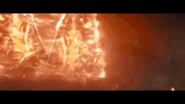 ROASTED.gif