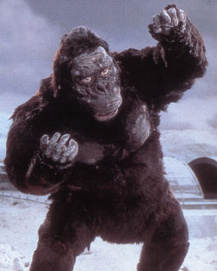 King Kong Kkvg Gojipedia Fandom Kong is an upcoming american monster film set in the legendary's monsterverse set to release on march 26th, 2021. king kong kkvg gojipedia fandom