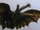 King Ghidorah (Rebirth of Mothra)