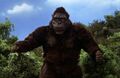 Kong1.jpg (32 KB)
