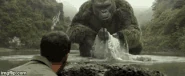 King-kong-kong-skull-island.gif (2,92 МБ) Конг, пьющий воду из реки