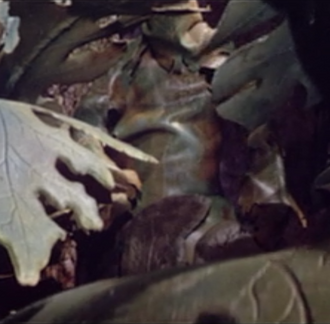 Maneater en All Monsters Attack (click to enlarge)