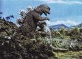 AMA - Minilla Running Up to Godzilla