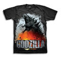 Godzilla 2014 Merchandise - Clothes - Explosion