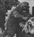 DAM - Godzilla.jpg (463 KB)