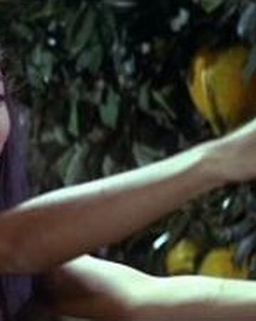 Saeko Matsumiya Gojipedia Fandom Godzilla is back with son of godzilla (1967), the movie that shows not only is godzilla an unstoppable engine of destruction, he's. saeko matsumiya gojipedia fandom