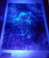 The map of Skull Island under a blacklight.