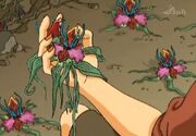 Orchideen.jpg
