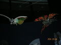 Mothra Leo and Battra in 2004