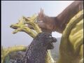 Godzilla and Rodan battle King Ghidorah