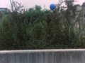 The bowling ball mysteriously flies into the air