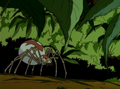 An infant Giant Mutant Widow Spider