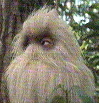 Ghogo as he is seen in Rebirth of Mothra II (click to enlarge)