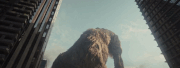 FullSizeRender.gif