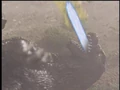 Godzilla fires his ray to no effect