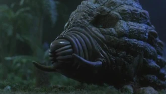 Mothra Primitiva se ve en Rebirth of Mothra III (click to enlarge)