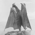 Godzilla.jp - 5 - SanDaikaijuRado Rodan 1964