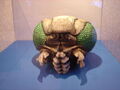 A Meganula head on display in 2004