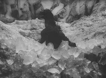 Eisgrab