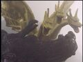 King Ghidorah has Godzilla down