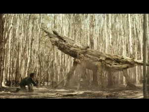 Споровый богомол