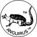 Anguirus