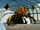 Giant Mutant Bee