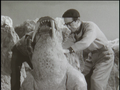 Gorath bts4