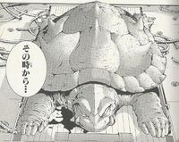 Toto in Gamera 2006 Hard Link