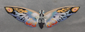 Rainbow Mothra