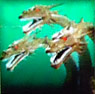 King Ghidorah Slot