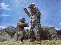 AMA - Minilla vs