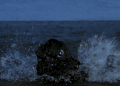 Godzilla swimming.gif (1.7 MB)