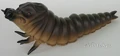 Mothra Larva