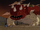 Thorny Devil