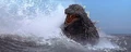 GMMG-Godzilla First Rises.jpg (8 KB)