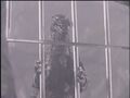 Godzilla is a prisoner