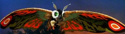 Mothra Leo
