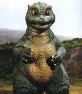 Little Godzilla