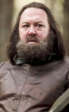 Robert Baratheon Siegel