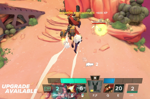 Experience Level Up