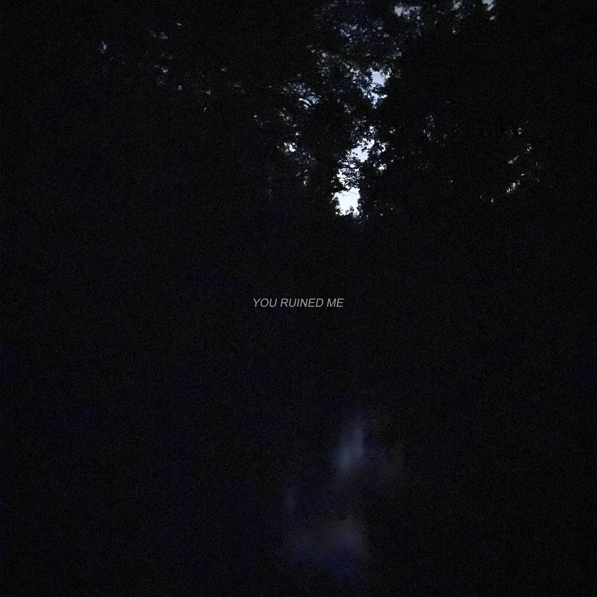 You ruined me ♥ GOJII ♥ Music Wiki Fandom