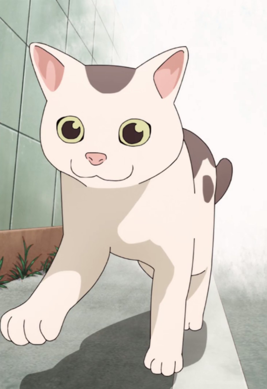 Gin Gokushufudou Wiki Fandom