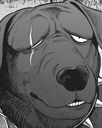 Elizabeth Gokushufudou Wiki Fandom