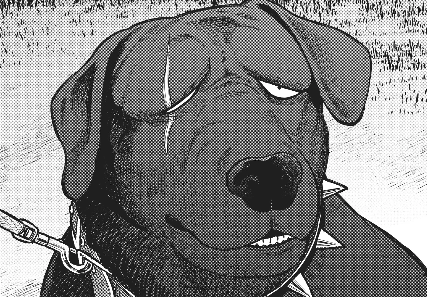 Elizabeth Gokushufudou Wiki Fandom