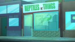 Reptiles 'n' Things